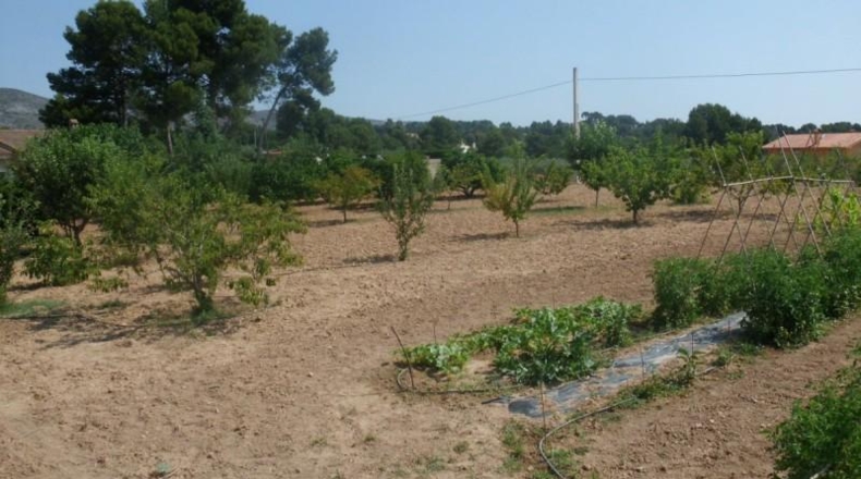 València - Onteniente - 9890m2