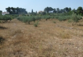 Terreno no urbanizable en venta en la España, Ontinyent, ref: TR113795 foto