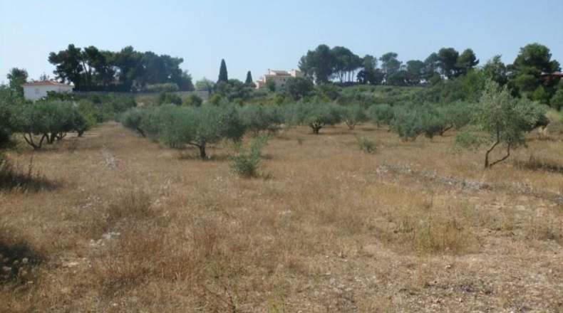 València - Onteniente - 9890m2