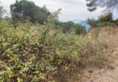 Городская земля под застройку на продажу у города Sant Feliu de Codines Фото