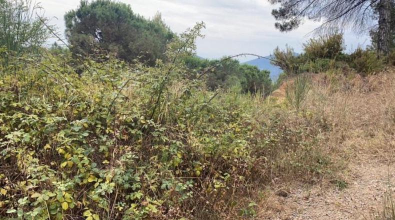 Barcelona - Sant Feliu de Codines - 611m2