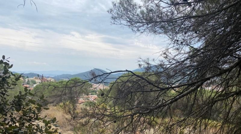 Barcelona - Sant Feliu de Codines - 611m2