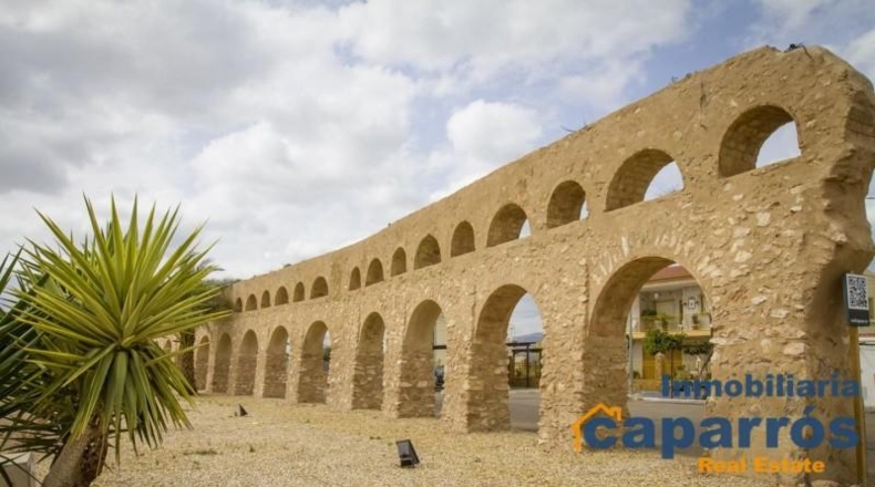 Almeria - Antas - 35000m2