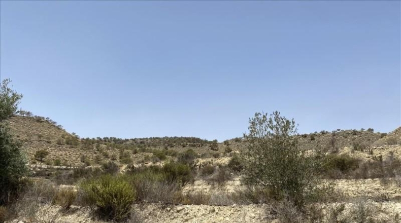Murcia - Abanilla - 145000m2