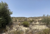 Non-developable land for sale on España, Abanilla, ref: TR328522 photo