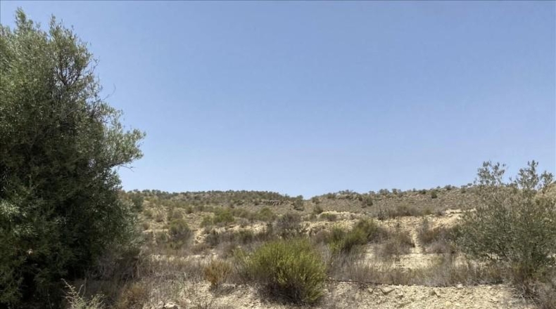 Murcia - Abanilla - 145000m2