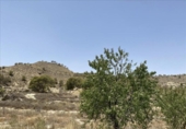 Non-developable land for sale on España, Abanilla, ref: TR328522 photo
