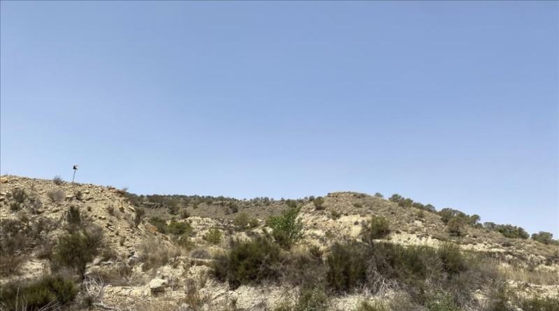 Murcia - Abanilla - 145000m2