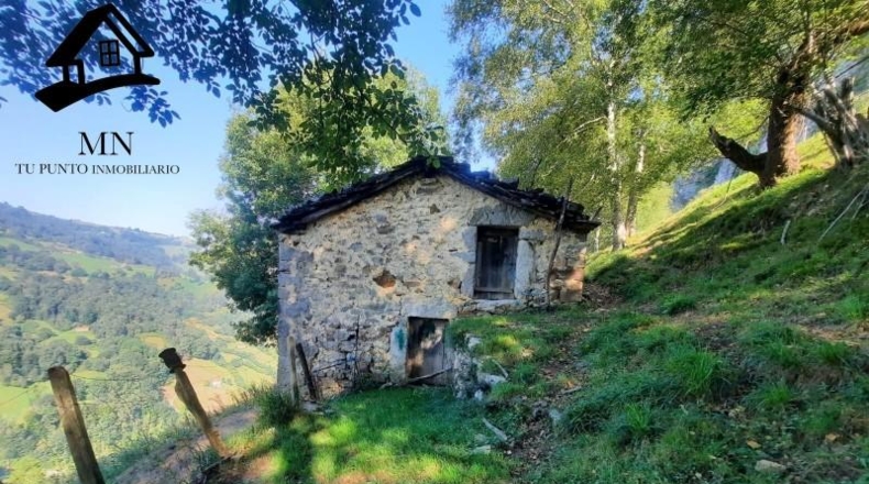 Cantabria - Miera - 26000m2