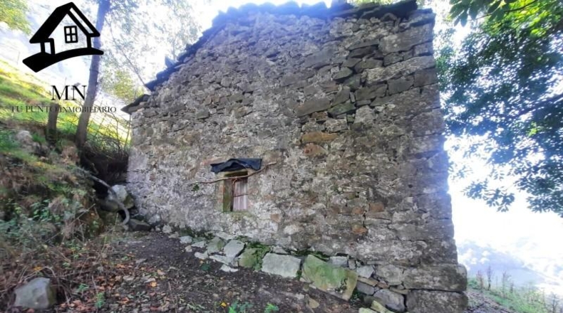 Cantabria - Miera - 26000m2
