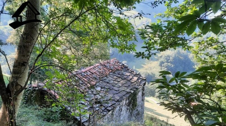 Cantabria - Miera - 26000m2