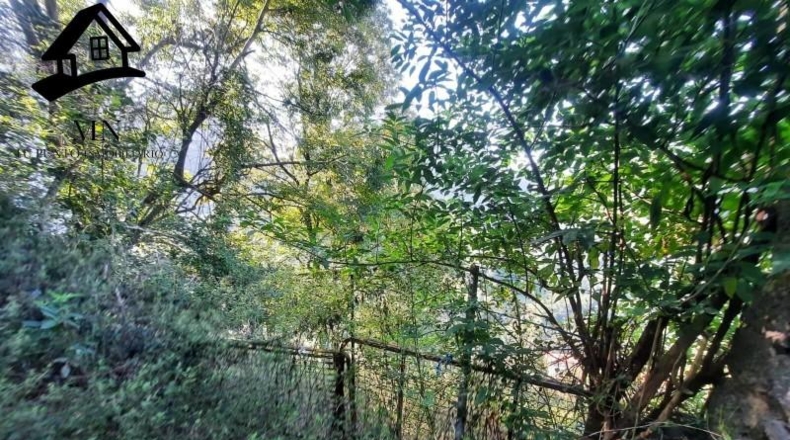 Cantabria - Miera - 26000m2