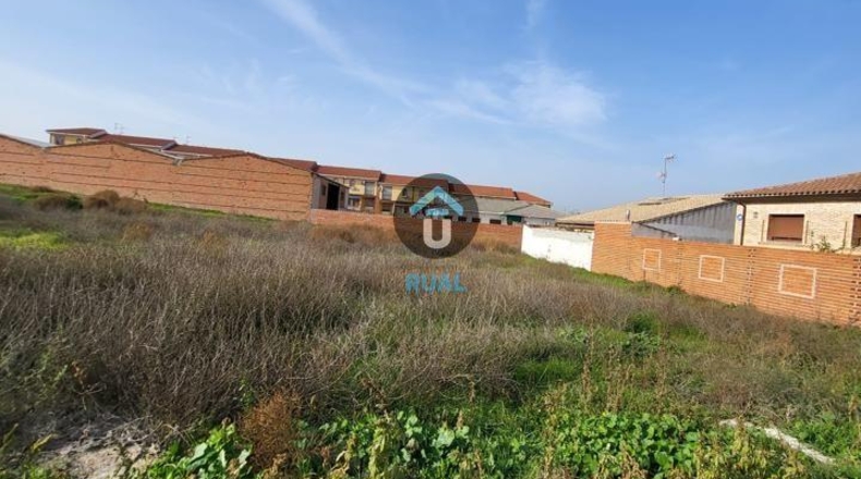 Toledo - Santa Olalla - 1086m2