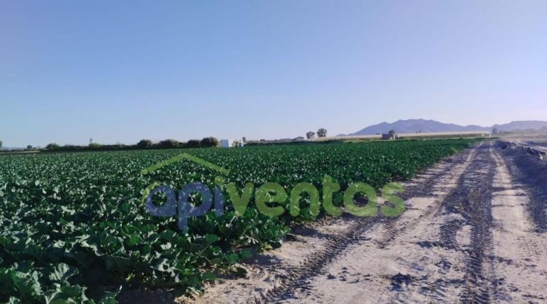 Murcia - Lorca - 28700m2