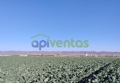 Земля на продажу у города Lorca Фото