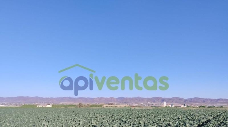 Murcia - Lorca - 28700m2