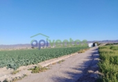 Земля на продажу у города Lorca Фото