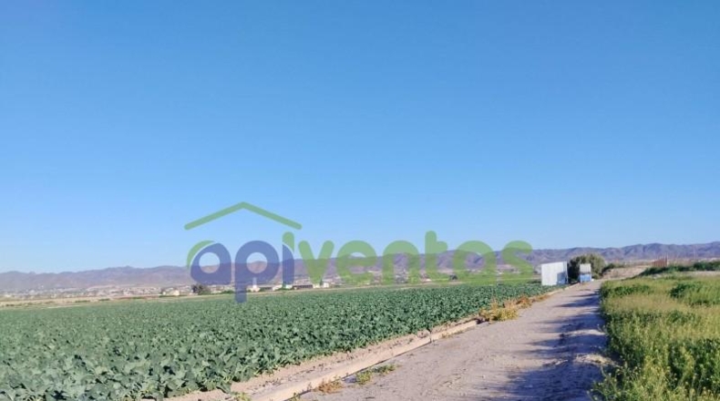 Murcia - Lorca - 28700m2