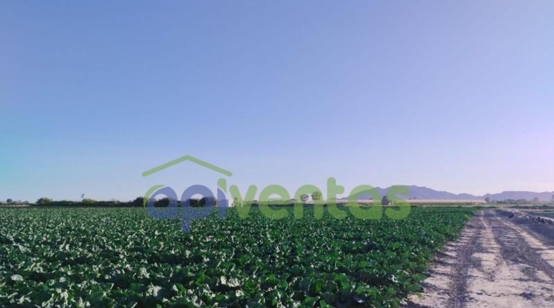 Murcia - Lorca - 28700m2