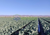 Земля на продажу у города Lorca Фото