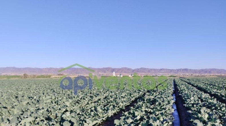 Murcia - Lorca - 28700m2