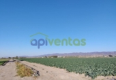 Земля на продажу у города Lorca Фото