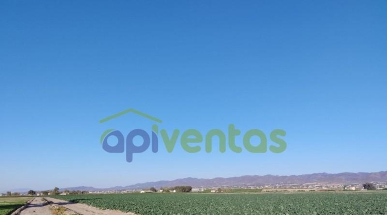 Murcia - Lorca - 28700m2