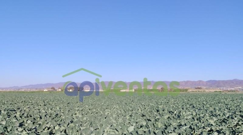 Murcia - Lorca - 28700m2