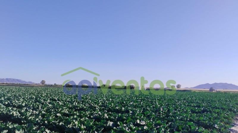 Murcia - Lorca - 28700m2