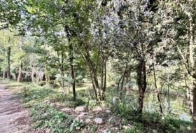 Albanyà 565&nbsp;m²