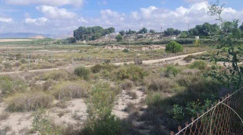 Murcia - Molina de Segura - 5060m2