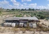 Chalet independiente con terreno en venta en la España, Molina de Segura, ref: TR149605 foto