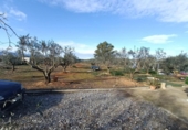 Detached villa with land for sale on España, Llíria, ref: TR378695 photo