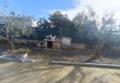 Detached villa with land for sale on España, Llíria, ref: TR378695 photo