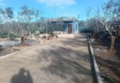 Detached villa with land for sale on España, Llíria, ref: TR378695 photo