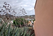 Parcel·la urbanitzable en venda a la España, Las Palmas de Gran Canària, ref.: TR116849 foto