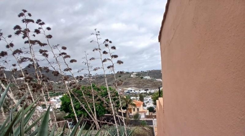 Las Palmas - Las Palmas de Gran Canaria - 423m2