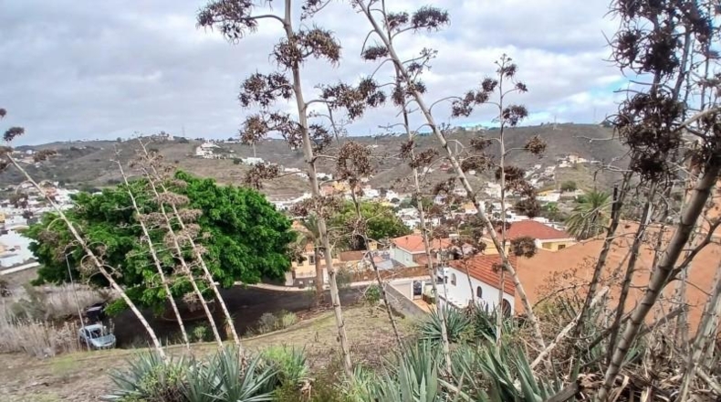 Las Palmas - Las Palmas de Gran Canaria - 423m2