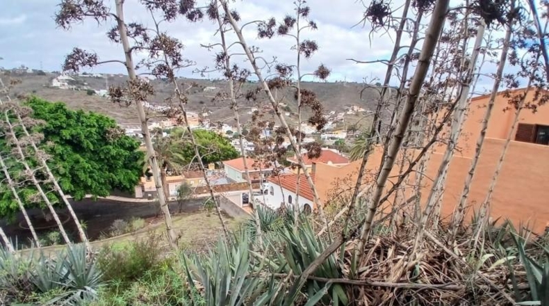 Las Palmas - Las Palmas de Gran Canaria - 423m2