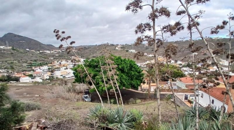 Las Palmas - Las Palmas de Gran Canaria - 423m2