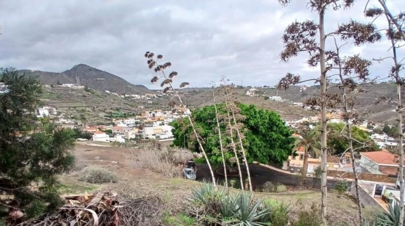 Las Palmas - Las Palmas de Gran Canaria - 423m2