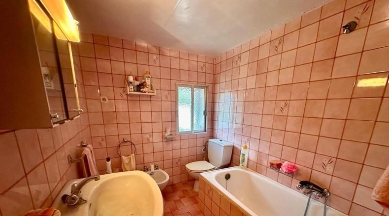 Córdoba - Fuente Obejuna - 5000m2