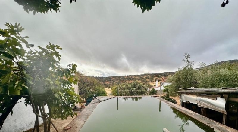 Córdoba - Fuente Obejuna - 5000m2