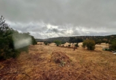 Finca rústica en venda a la España, Fuente Obejuna, ref.: TR344028 foto