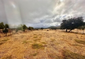 Finca rústica en venda a la España, Fuente Obejuna, ref.: TR344028 foto