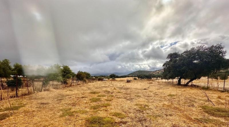 Córdoba - Fuente Obejuna - 5000m2