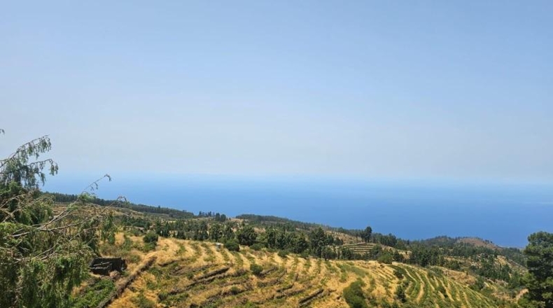 Santa Creu de Tenerife - La Traviesa - 7500m2