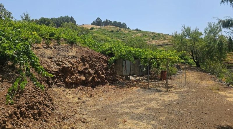 Santa Creu de Tenerife - La Traviesa - 7500m2