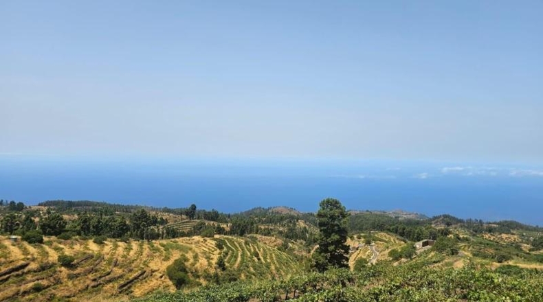Santa Creu de Tenerife - La Traviesa - 7500m2