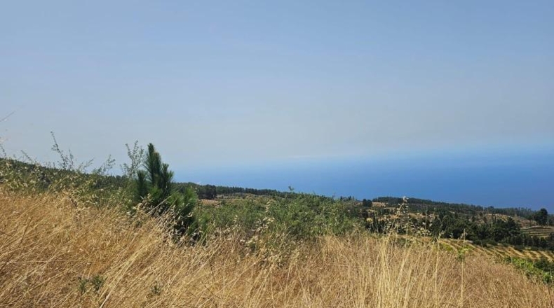 Santa Creu de Tenerife - La Traviesa - 7500m2